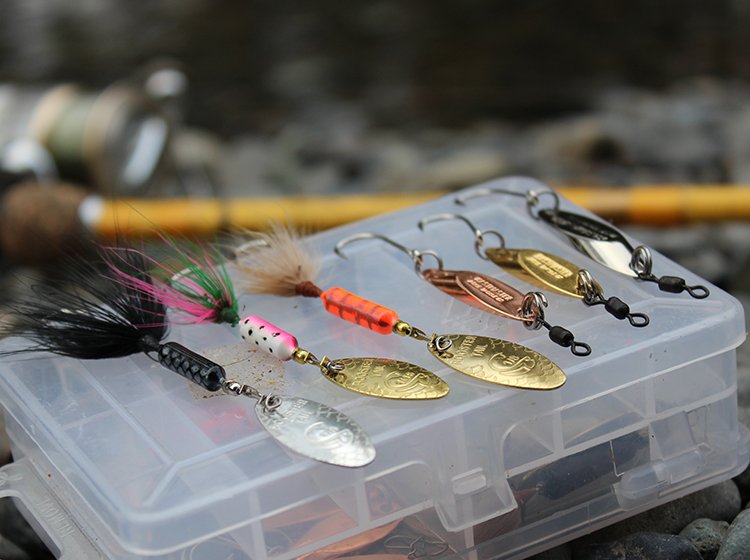 Best Bait for Catching Rainbow Trout​