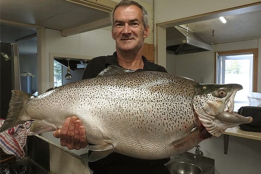 Largest Brown Trout Ever Caught