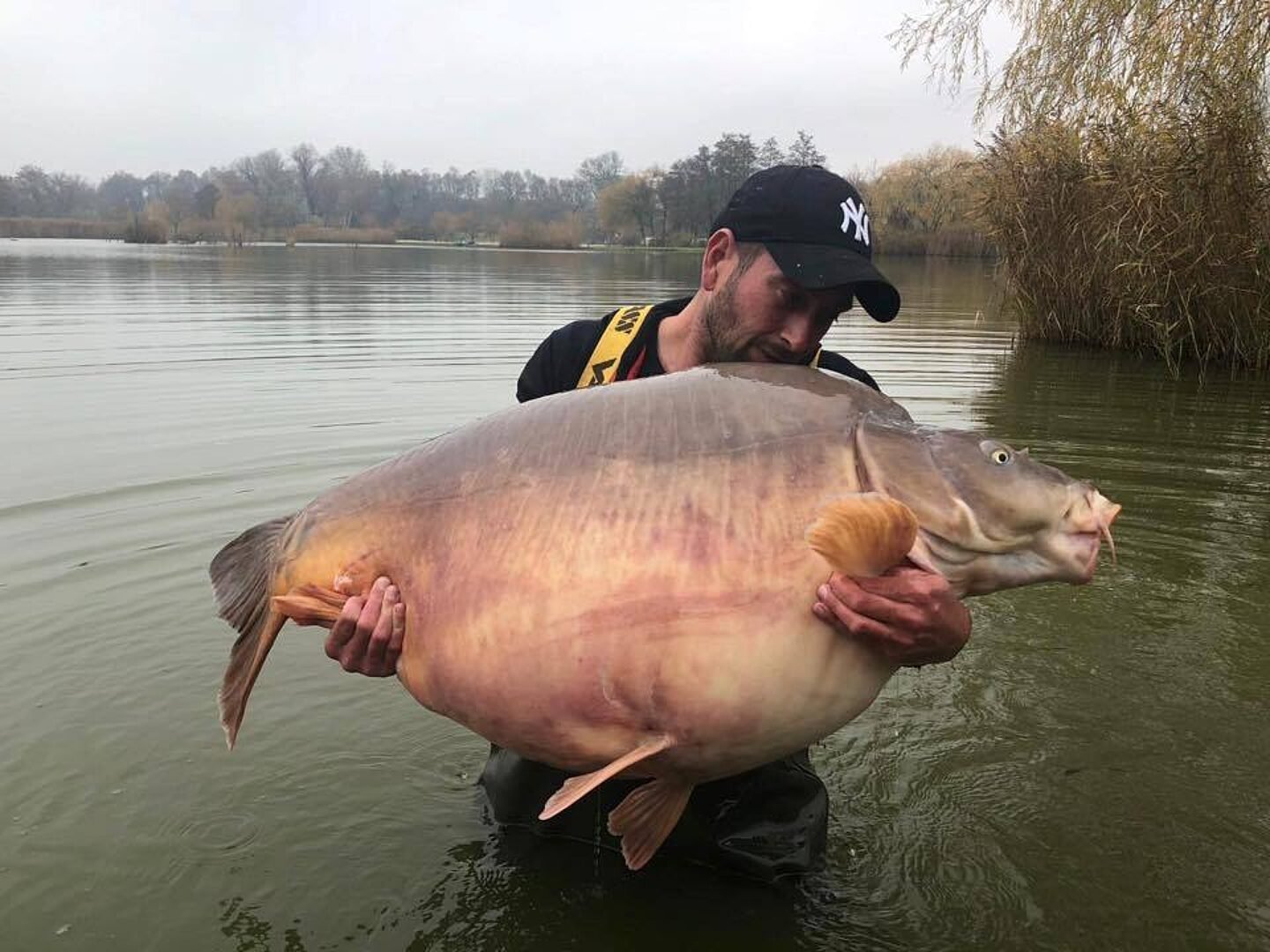 Largest Carp Ever Caught