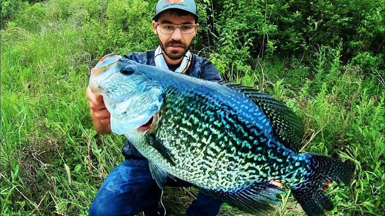 Largest Crappie Ever Caught