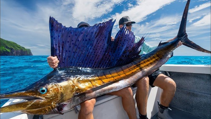 Largest Sailfish Ever Caught