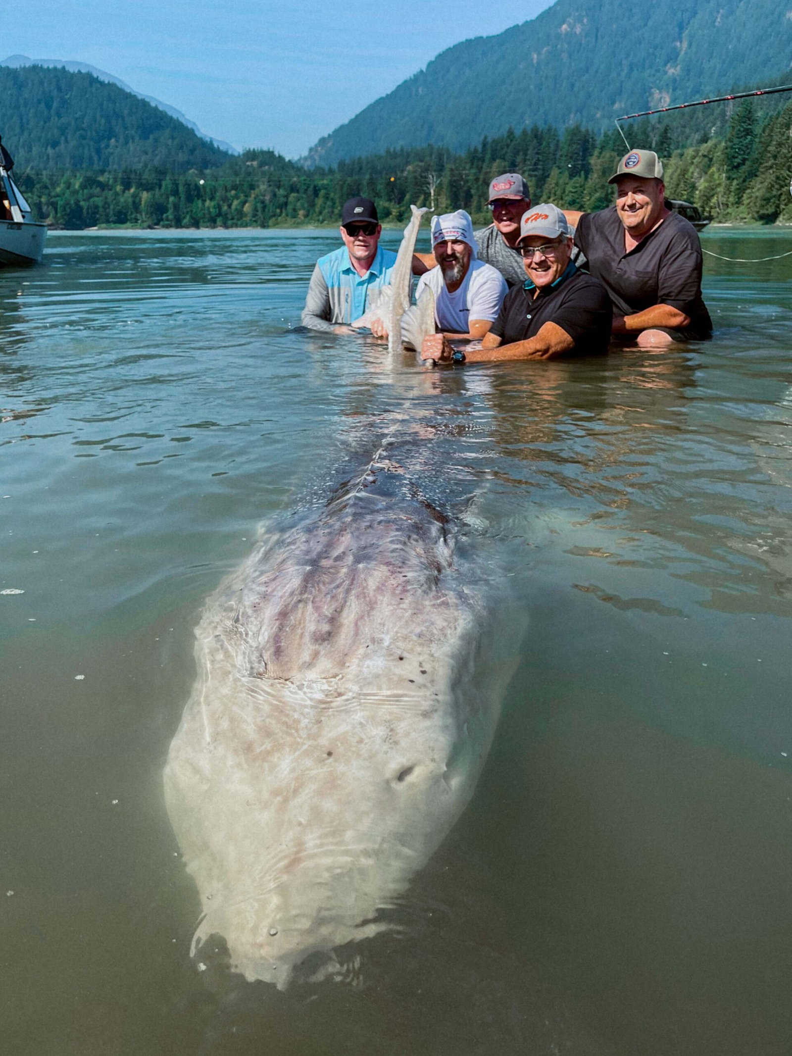 Largest Sturgeon Ever Caught