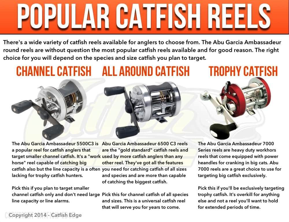 What Type of Reel is Best for Catfish